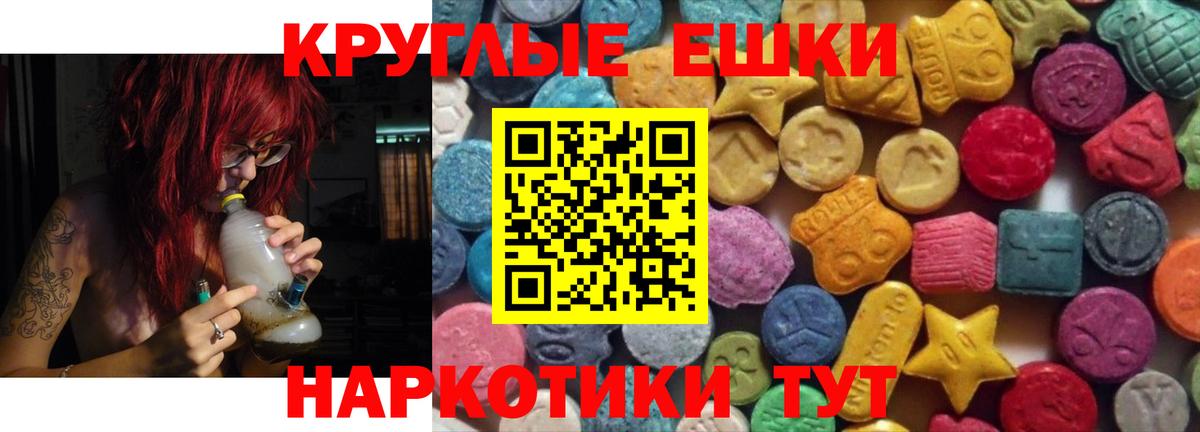 Ecstasy Philipp Plein Гай