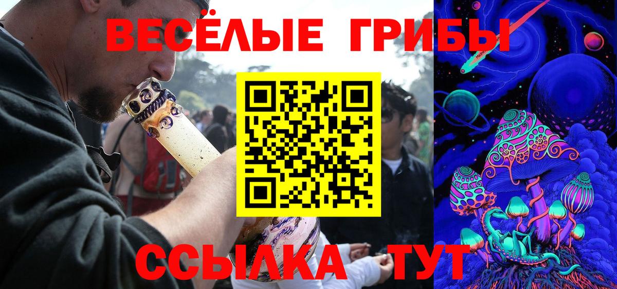 Галлюциногенные грибы Psilocybine cubensis  хочу   Вход с VPN  Гай  Псилоцибиновые грибы прущие грибы 