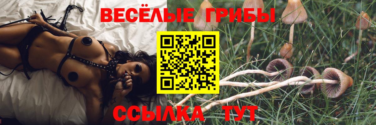 Галлюциногенные грибы Magic Shrooms Гай
